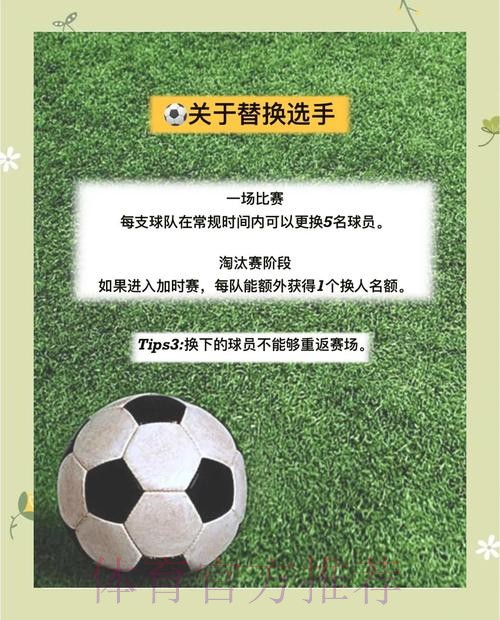 世界杯滚球平台全方位解读与深度分析
